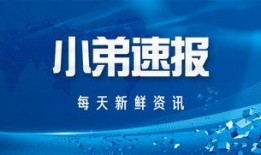 小太阳爆料新闻报道内容,揭秘娱乐圈最新热点事件